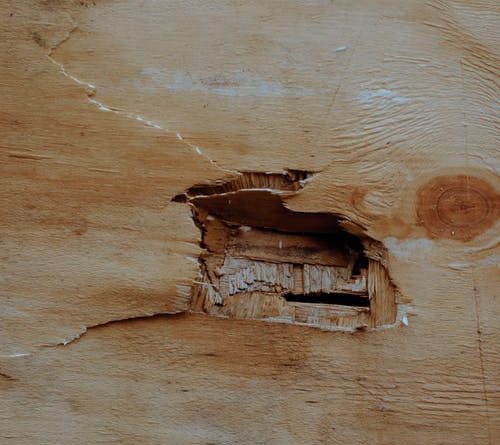 Slip And Falls In Florida