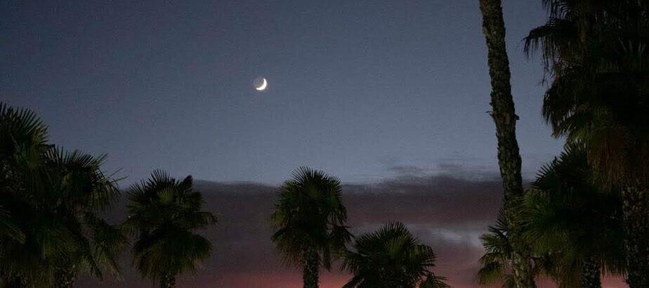 Spring Break Accidents in Tampa: What Tourists Need to Know About Filing a Claim