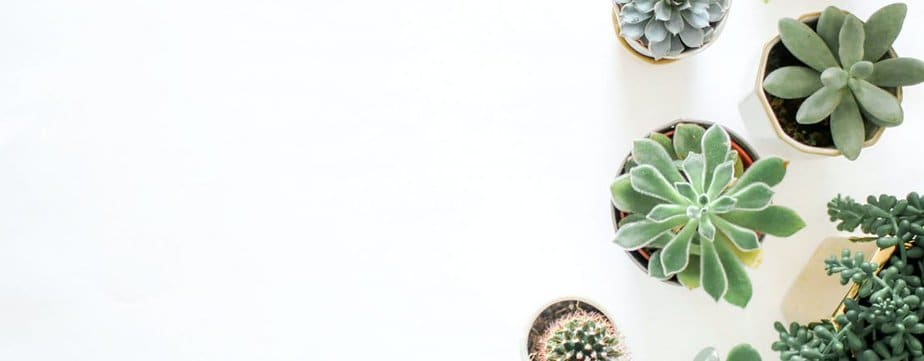 Food Therapy for TBI Patients