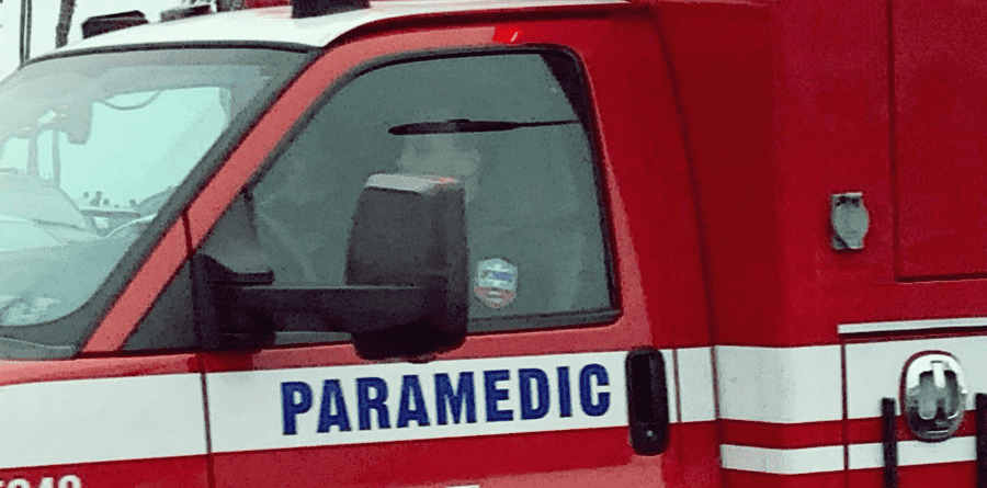 Steps to Take After a Dog Bite Incident in Florida