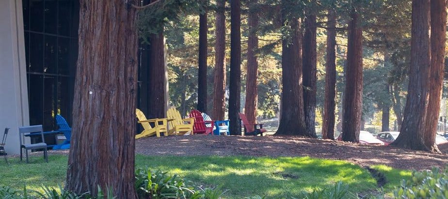 Who’s Liable If You're Injured at an Airbnb in Florida?