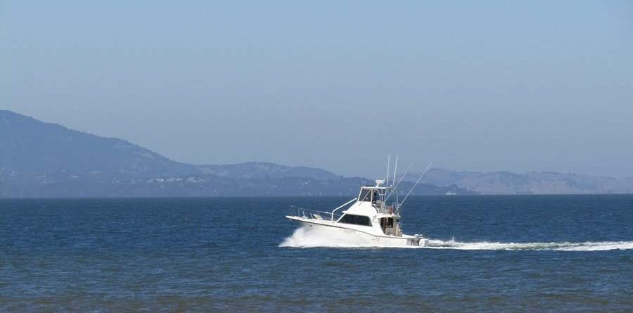 Boating Under the Influence Accidents in Tampa, Florida